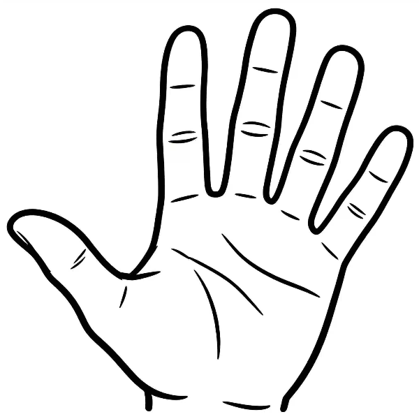 手掌图